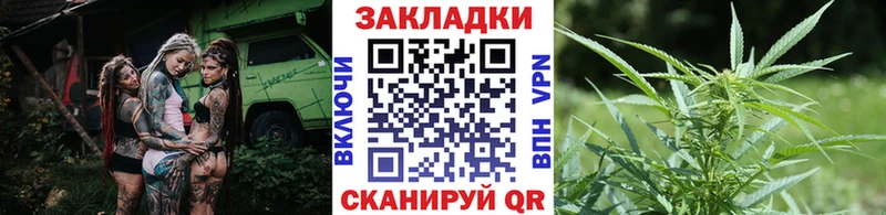 Как найти наркотики Заозёрный Псилоцибиновые грибы  A-PVP  МЕФ  Каннабис  КОКАИН  Гашиш  Амфетамин 