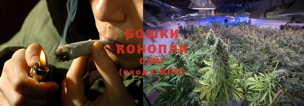 гидра Заволжск