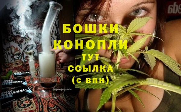 сатива Заволжье